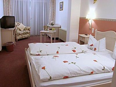 Hotel Schlossgarten Gladenbach Rum bild